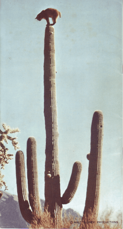 Ƥ(1953)1527,8cm