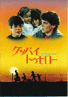 åХȥ(1988)Σ£Ƚ 