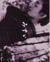 みすゞ(2001)［21×17cm］ 