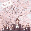 櫻の園 -さくらのその-(2008)［21×21cm］ 